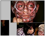 Facepainting. Making of ... 1. Platz Facepainting. Thema Illusion. Körperbemalung. Maskerade 2010. Facepainting Evelina Iacubino