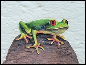 Fassade Frosch Natur Fassadenmalerei Evelina Iacubino